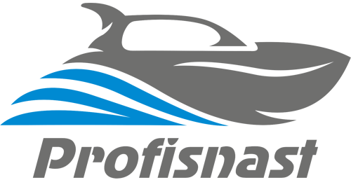 Профиснасть